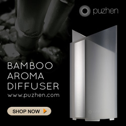 Puzhen Bamboo Aroma Diffuser